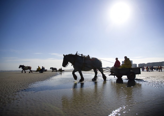 I pescatori di gamberetti a Oostduinenkerke - foto Visit Flanders