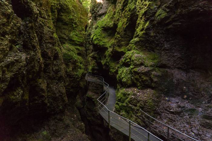 La gola del Rio Sass. Foto Sara Furlanetto