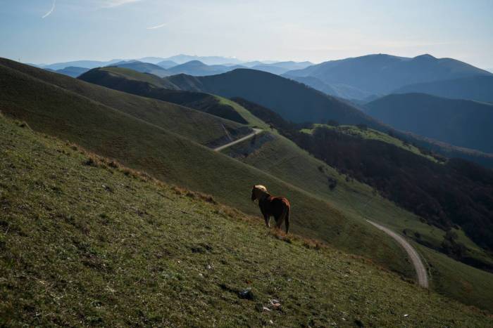 Il crinale verso il rifugio Monte Maggio - foto Sara Furlanetto