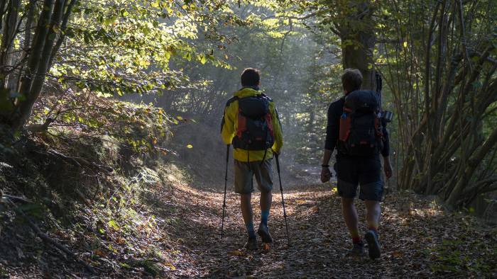  In cammino nel bosco - foto Andrea Buonopane