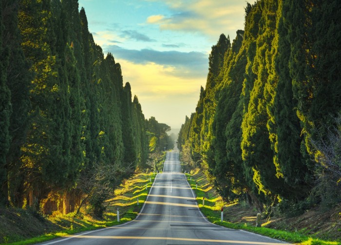 Verso Bolgheri / foto AdobeStock