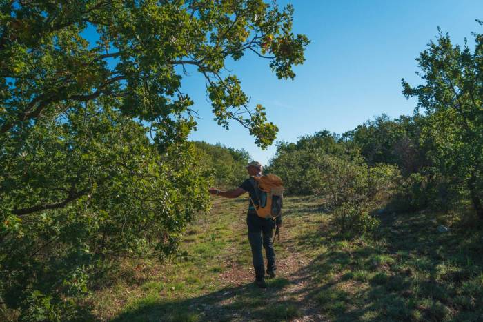 Tappa Contrada Lama d'Ape > Quasano. Il sentiero segue la via dell'aquedotto pugliese - foto Sara Furlanetto​