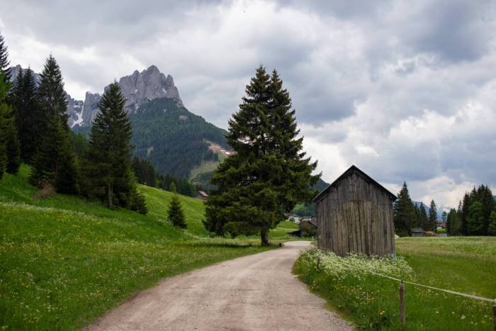 Sulla ciclabile che porta a Pozza di Fassa - foto S. Furlanetto​