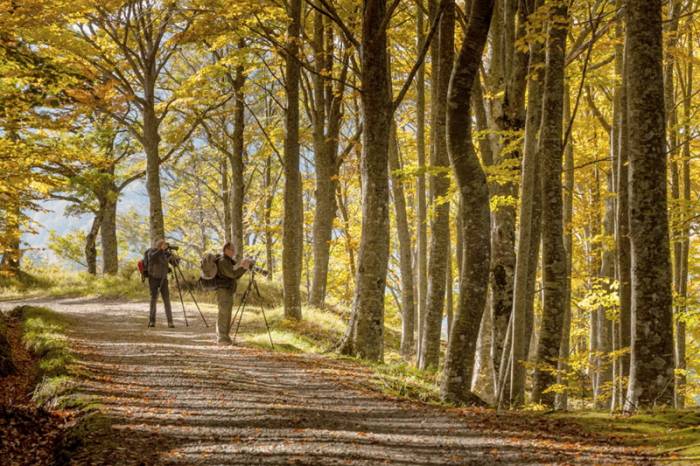 Itinerari suggestioni e natura selvaggia nel Parco nazionale