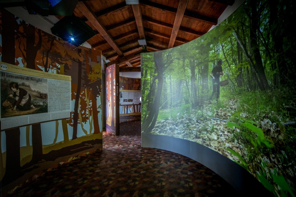 Il Museo del Fungo Porcino - Borgotaro - Alla ricerca del re del bosco (Foto L. Rossi)