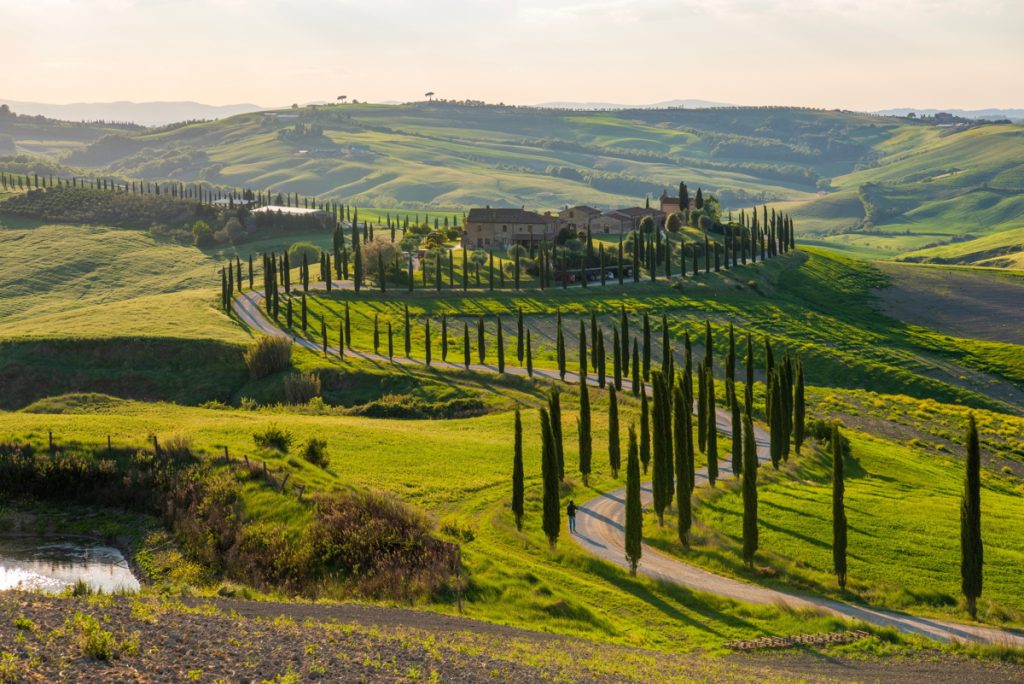 Panorama del territorio di Asciano, foto Shutterstock