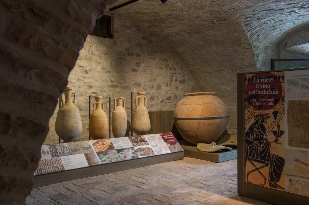 Museo del Vino dei Colli di Parma - Sala Baganza - Archeologia del vino (Foto L. Rossi)