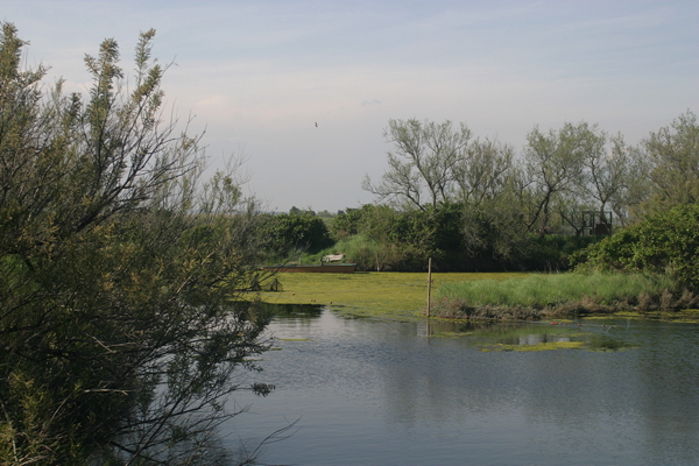Una vista della laguna.