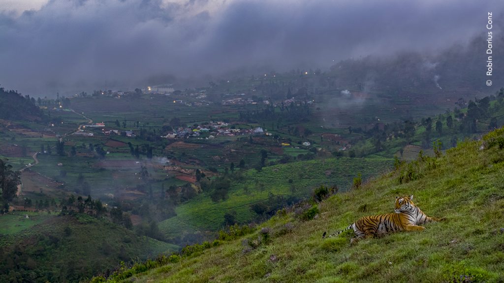 Robin Darius, Wildlife Photographer of the Year 2024