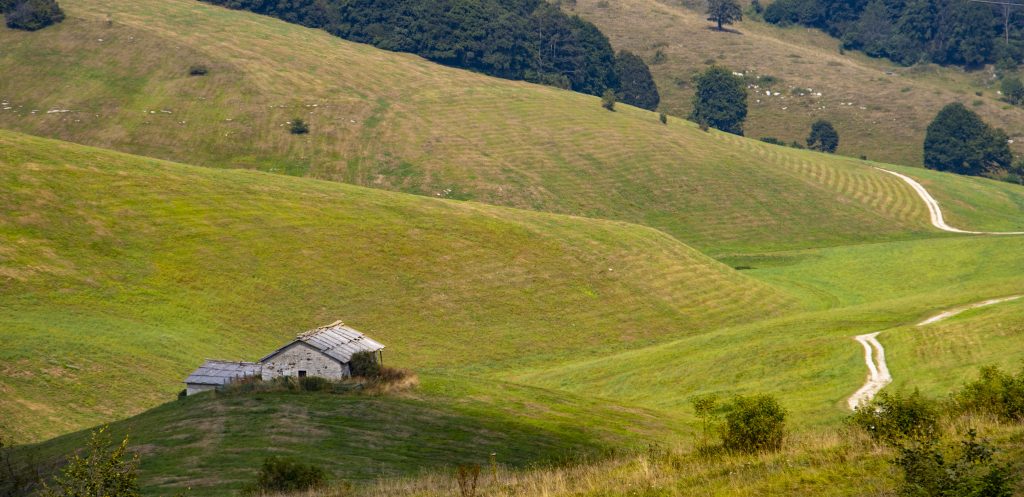 In queste terre alte arrivano i Cimbri provenienti dalla Baviera e dal Tirolo famosi maestri d’ascia