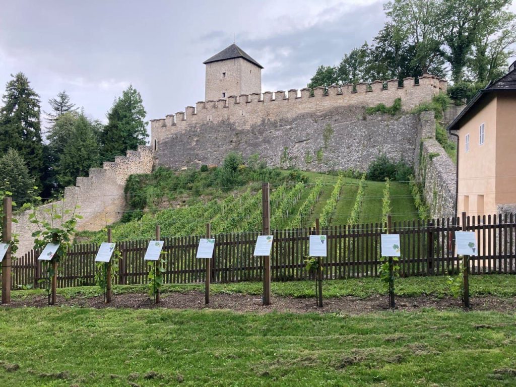 Il Museo della viticoltura salisburghese - foto www.parislodronzwinger.at