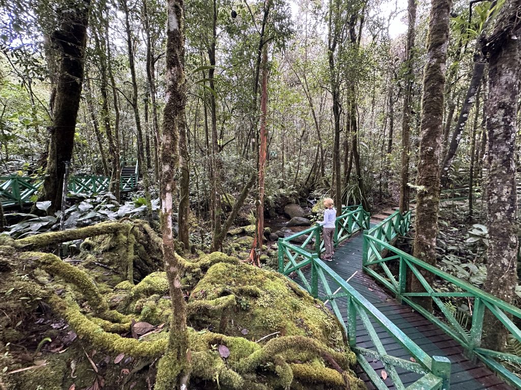 Il giardino botanico del Mount Kinabalu National Park - foto Stefano Brambilla