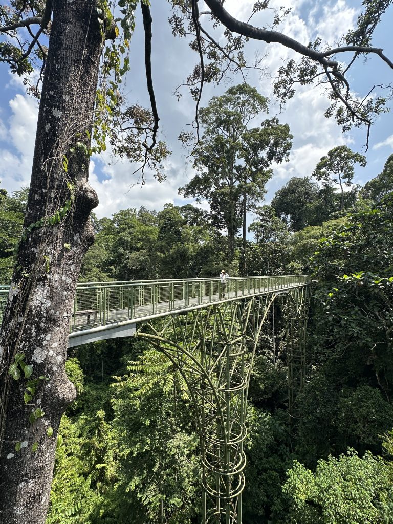 Il Rainforest Discovery Centre, Sepilok, Malaysia - foto Stefano Brambilla