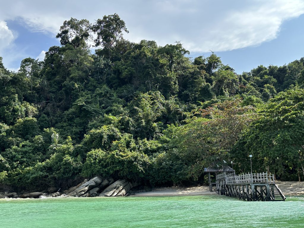 La foresta lussureggiante di Gaya Island - foto Stefano Brambilla