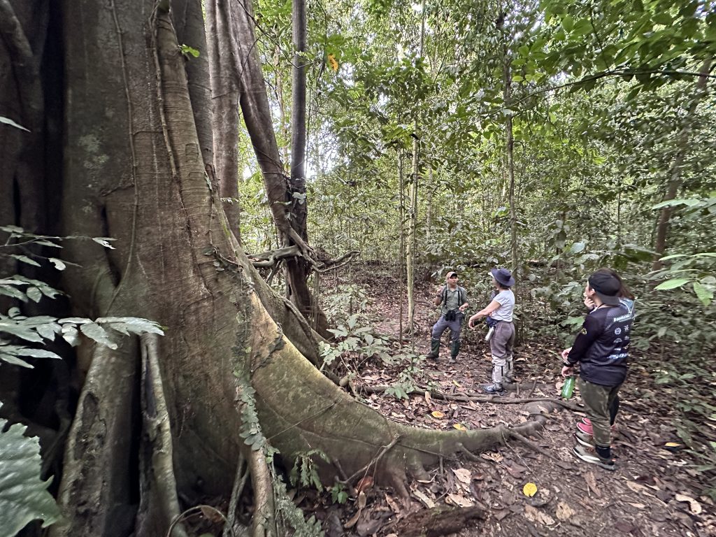Escursione nella foresta, Borneo Rainforest Lodge, Malaysia - foto Stefano Brambilla