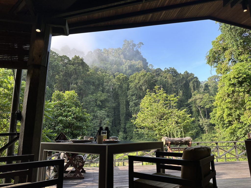 Il Borneo Rainforest Lodge, Malaysia - foto Stefano Brambilla