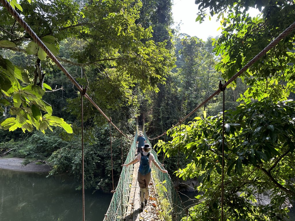 Il ponte sul fiume Sagana, Borneo Rainforest Lodge, Malaysia - foto Stefano Brambilla