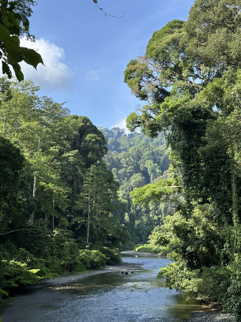 Il fiume Sagana, Borneo Rainforest Lodge, Malaysia - foto Stefano Brambilla