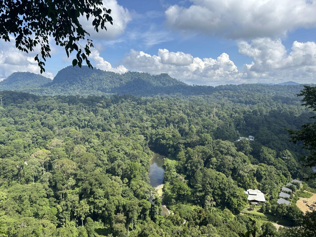 La vista dall'alto sul Borneo Rainforest Lodge e sulla Danum Valley, Malaysia - foto Stefano Brambilla