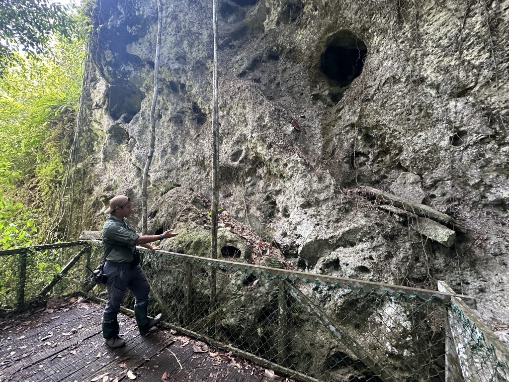Il sito di sepoltura dei Dusun Subpan, Malaysia - foto Stefano Brambilla
