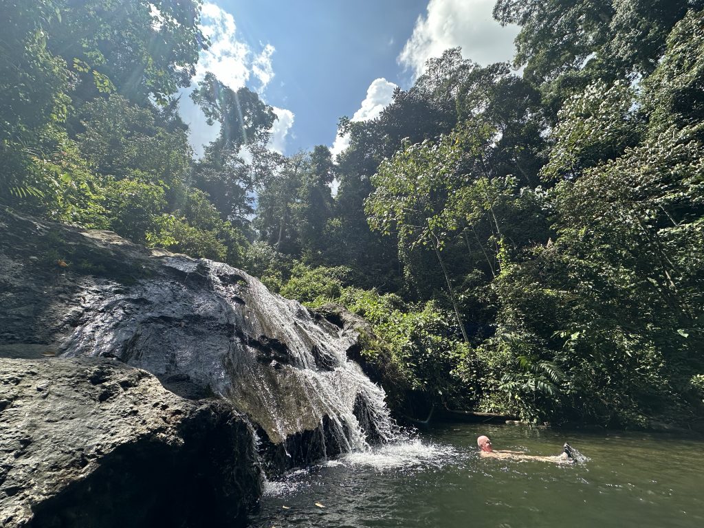 Bagno nella foresta, Borneo Rainforest Lodge, Malaysia - foto Stefano Brambilla