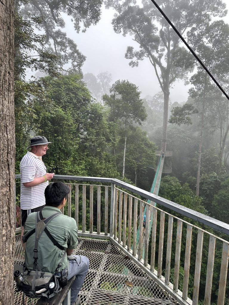 La Canopy Walway, Borneo Rainforest Lodge, Malaysia - foto Stefano Brambilla