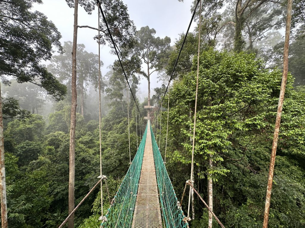 La Canopy Walway, Borneo Rainforest Lodge, Malaysia - foto Stefano Brambilla
