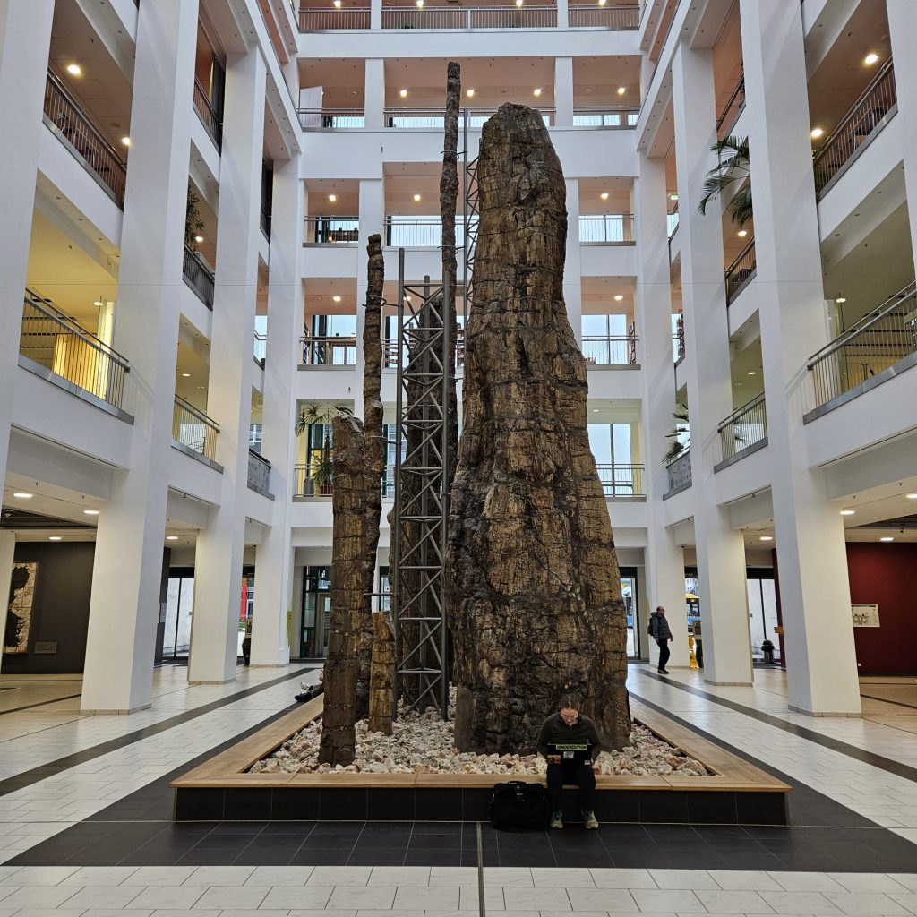 I tronchi pietrificati al Museo di storia naturale di Chemnitz - foto Roberto Copello