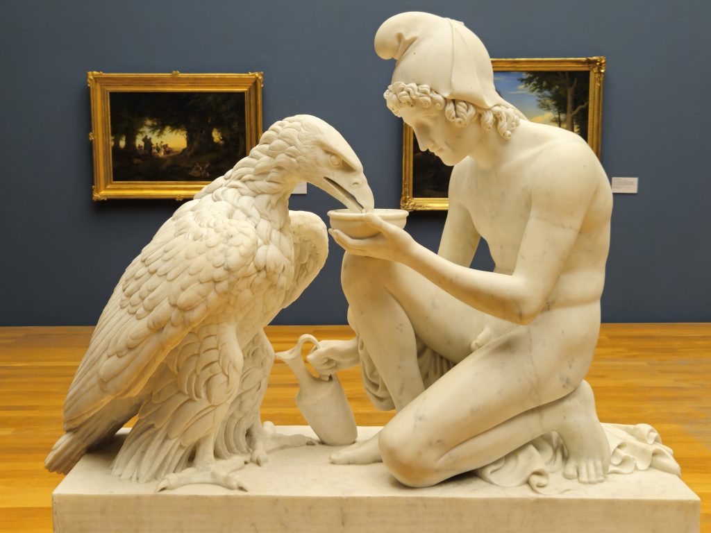 Ganimede dà acqua all'aquila, Bertel Thorvaldsen - MDBK Museo delle Belle arti - foto Roberto Copello