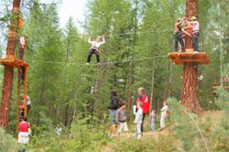 Sugli alberi, a Livigno