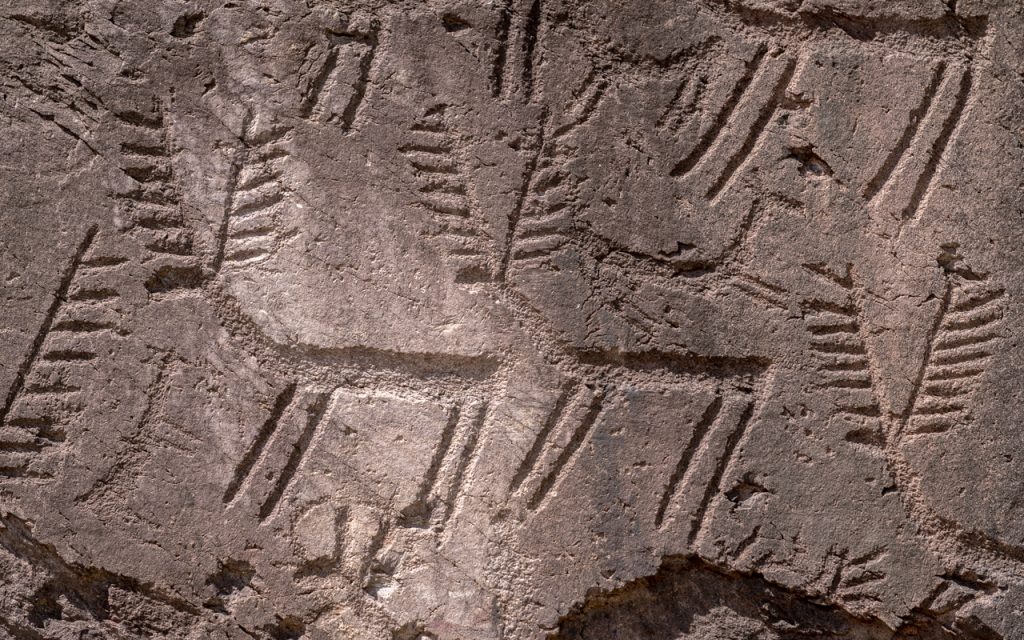 Gli splendidi cervi incisi sui grandi massi erratici di Cemmo (Roccia 1, Parco Archeologico Nazionale dei Massi di Cemmo, Capo di Ponte) – foto Lucia Comella