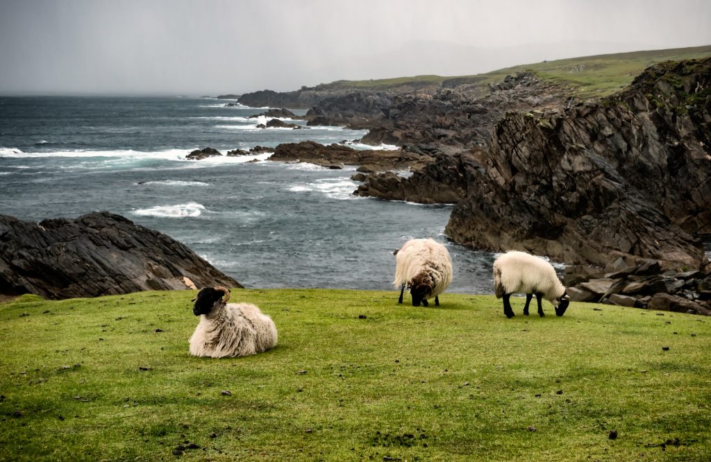 La contea di Mayo si trova sulla costa nord occidentale dell’Irlanda. Grazie all’assenza di grossi centri abitati e alla vicinanza all’oceano i suoi cieli sono tra i più puliti d’Europa – foto Shutterstock