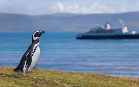 Falkland, le isole della discordia