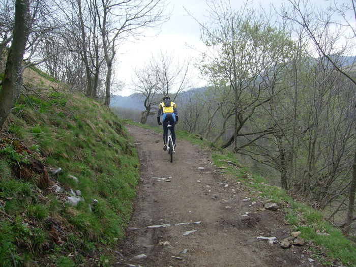 Mountain-bike verso il Monte Palanzone