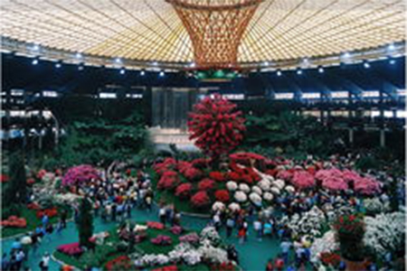 A Genova, l'Eden botanico