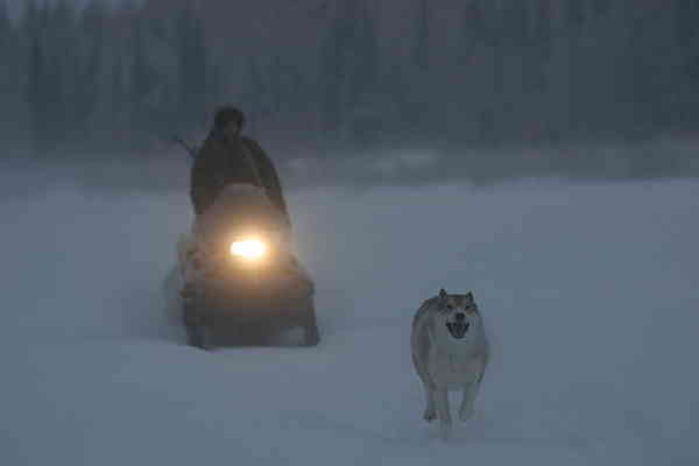 Dal film 'Happy people - a year in the taiga'