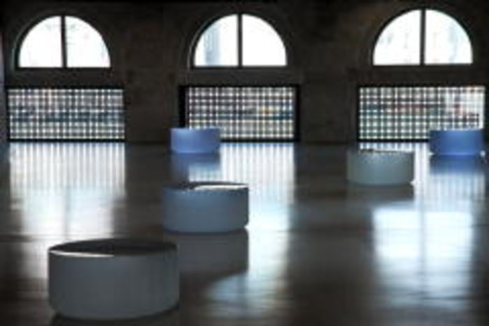 Punta della dogana: Well and Truly, Roni Horn, 2009-2010