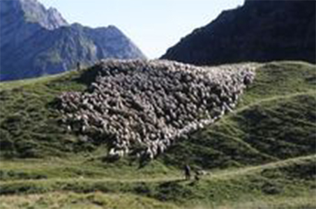 La montagna sullo schermo a Bosco Chiesanuova