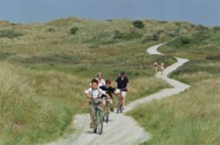 In Puglia, per un tour... molto fico