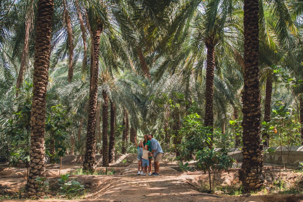 Un'oasi a Ras Al Khaimah