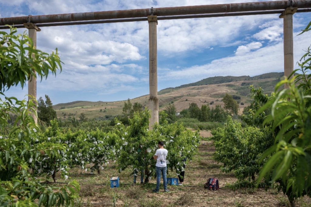 Riscopriamo le nostre terre perdute - foto Massimo Gorreri