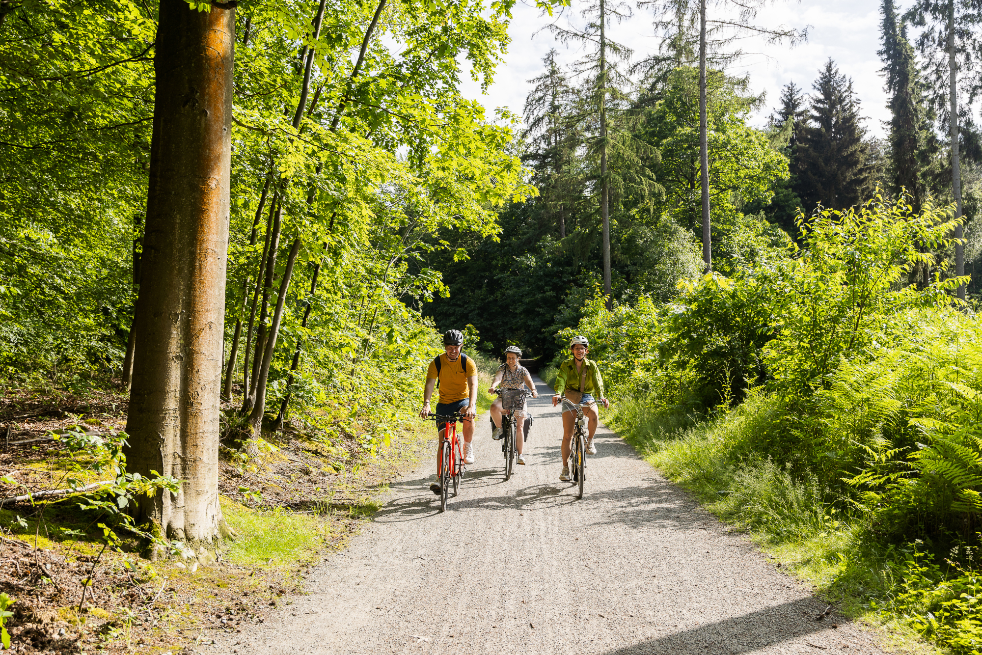 fiandre in bicicletta