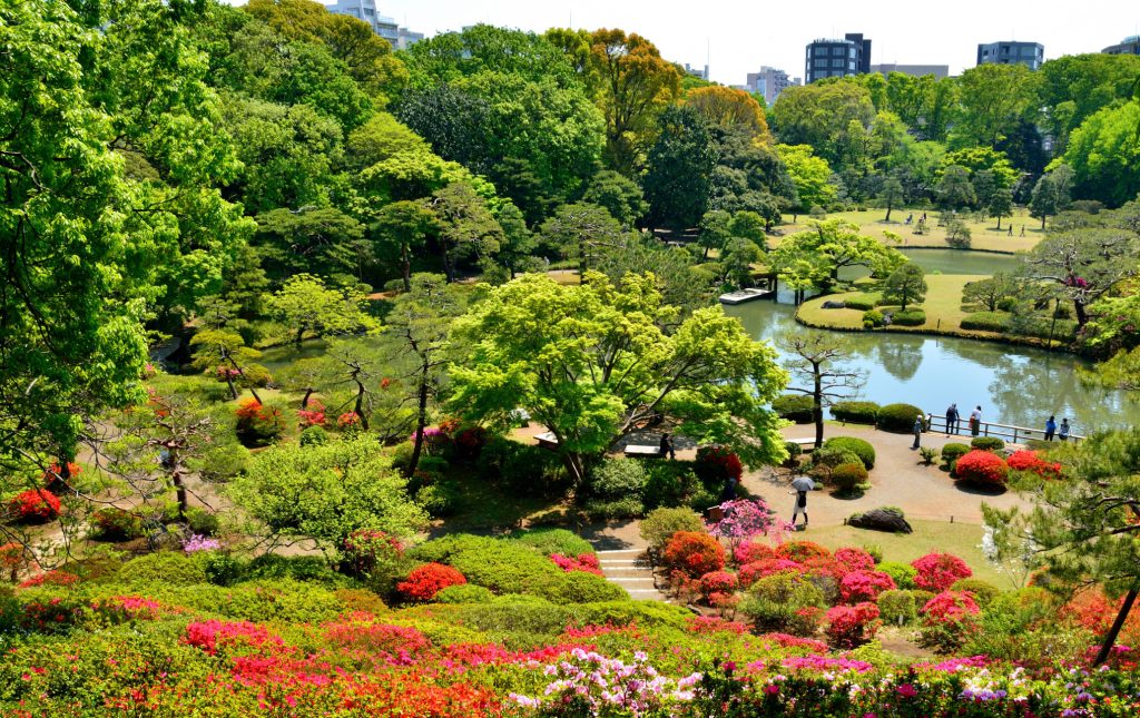 Giardino di Rikugien - foto JNTO