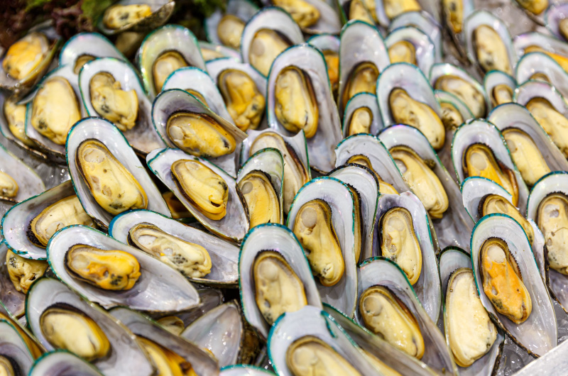 texture di cozze