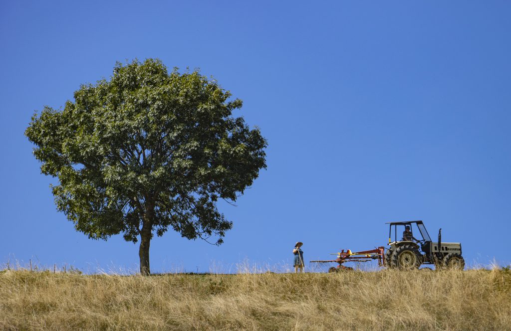 Nella campagna della Lessinia si rispettano i ritmi della natura in agricoltura e nella pastorizia