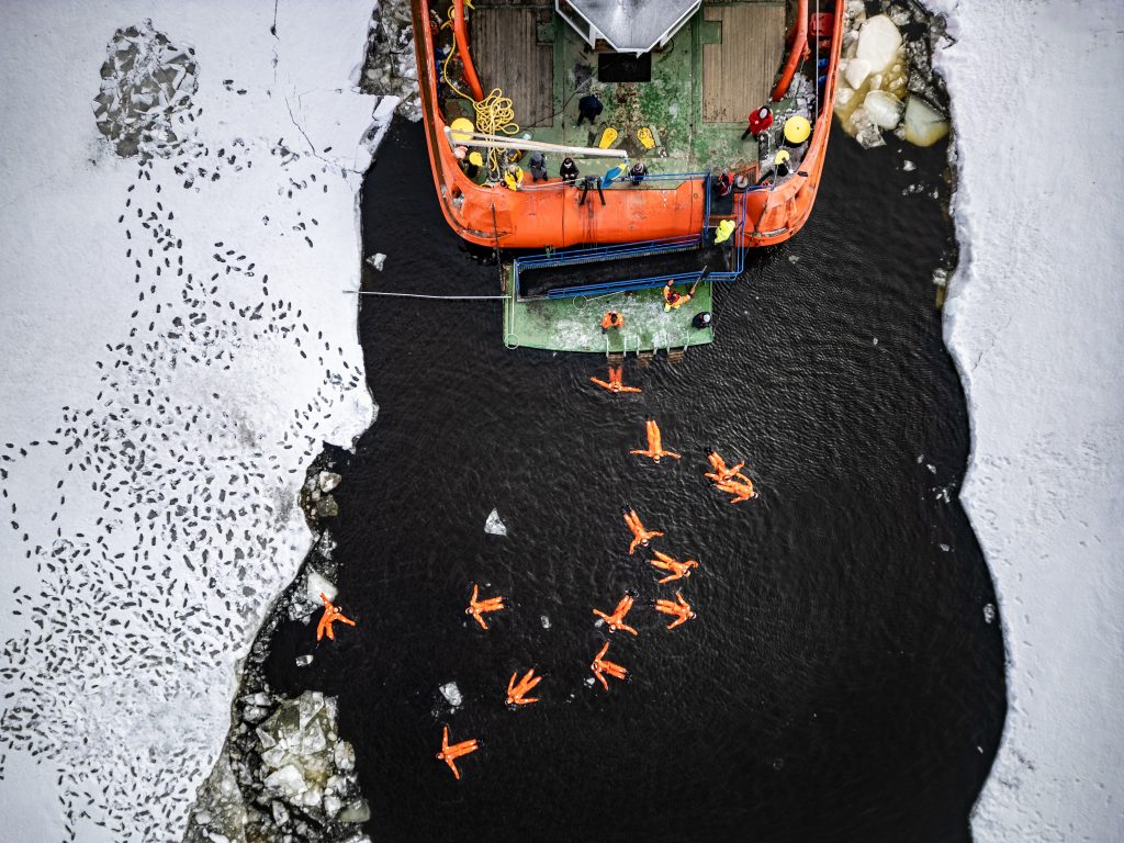 Polar Explorer Kalix, Lapponia Svedese - foto Swedish Lapland