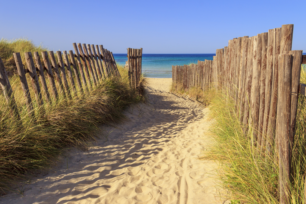 Le dune costiere a Torre Canne, nel Brindisino