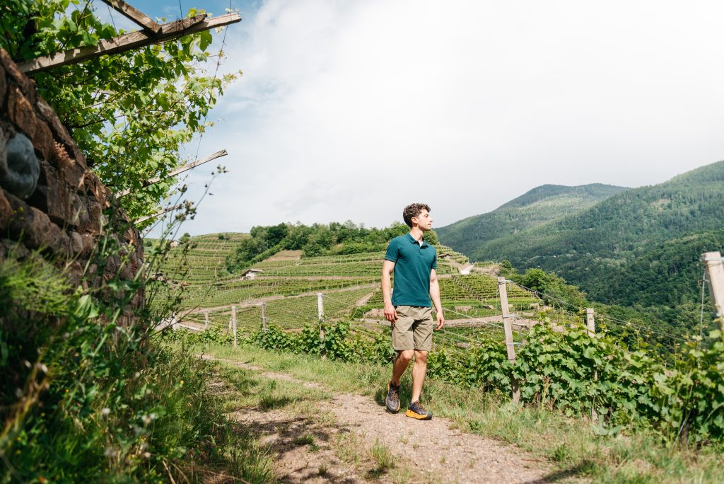 Val di Cembra, in cammino tra le montagne della valle 