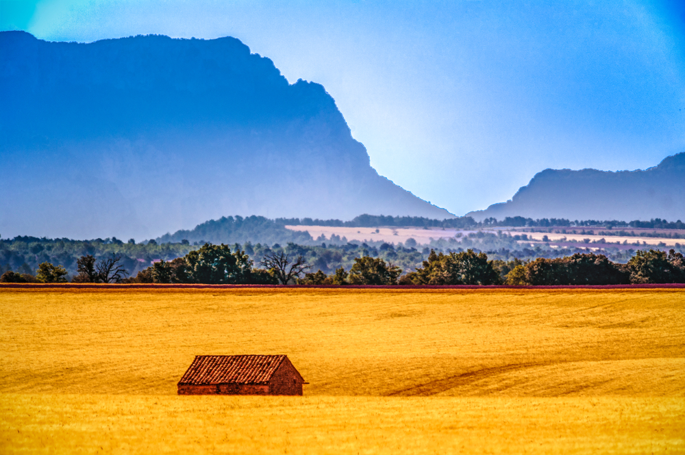 Valensole, Francia, nel Parco naturale del Verdon