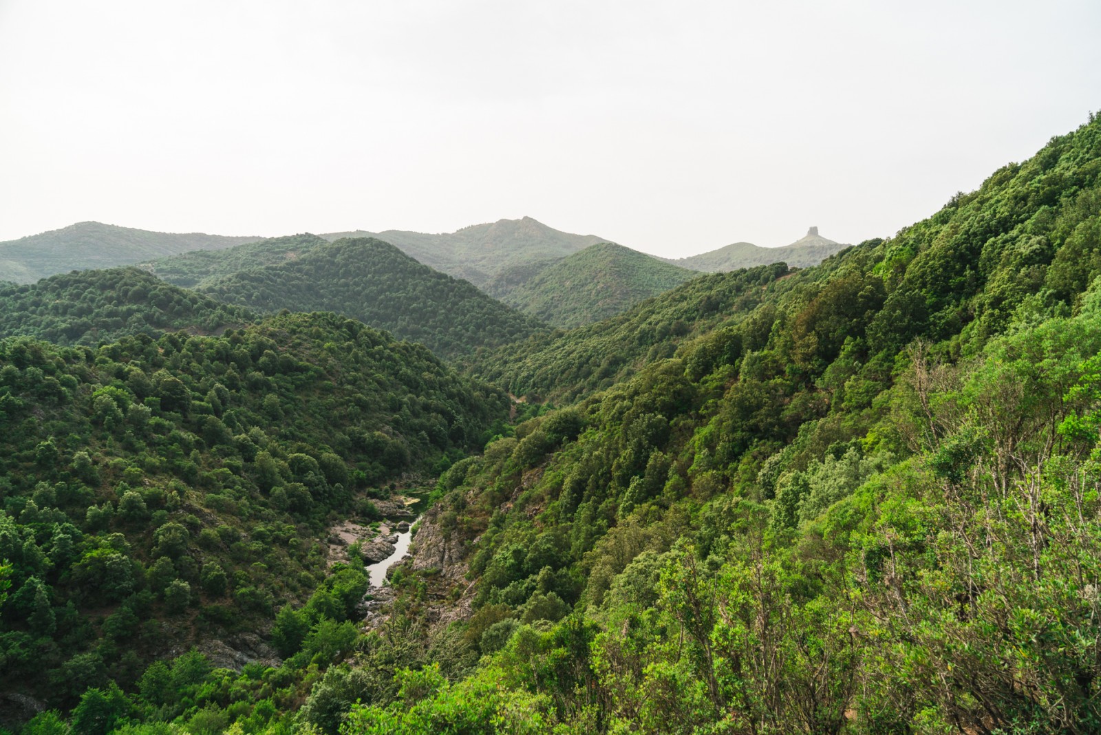 Deviazione dal Sentiero Italia per visitare le Gole di Pirincanes e le omonime cascate. Foto Sara Furlanetto